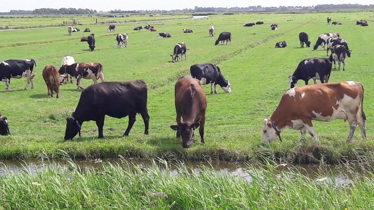 Spijkerboor Noord-Hollands Hof Dream 아파트 외부 사진